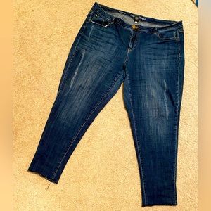 Lane Bryant Distressed Jean